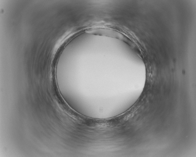 X0000070880344200607150152