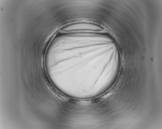 X0000070880347200607150152