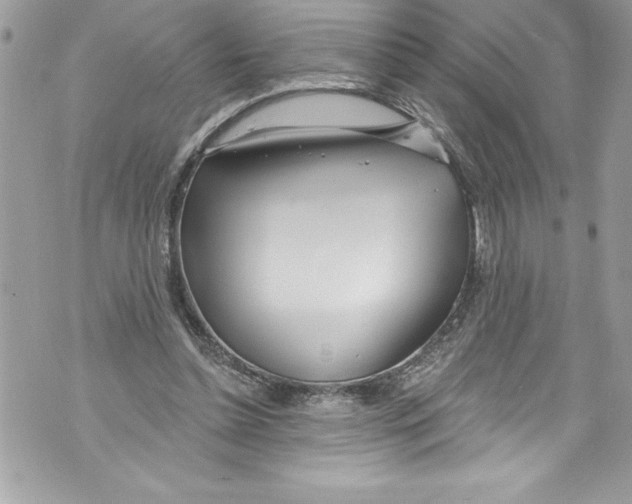 X0000070880348200607150152