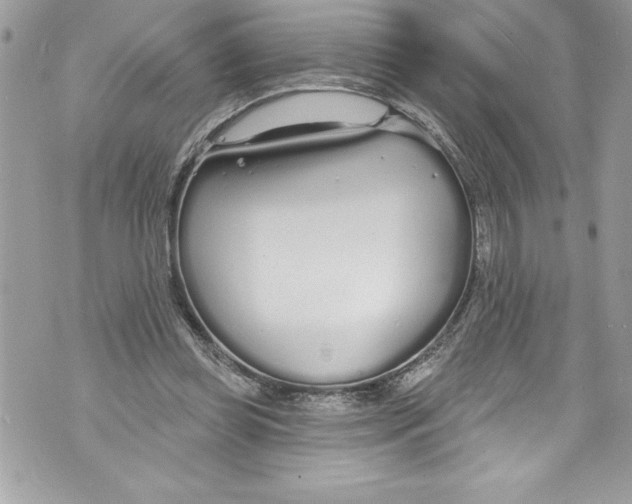 X0000070880349200607150152