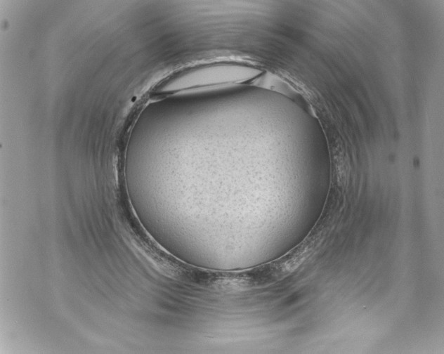 X0000070880350200607150152