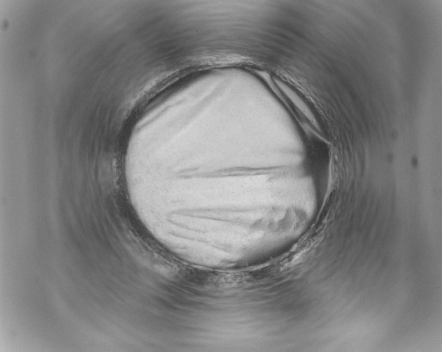 X0000070880351200607150152