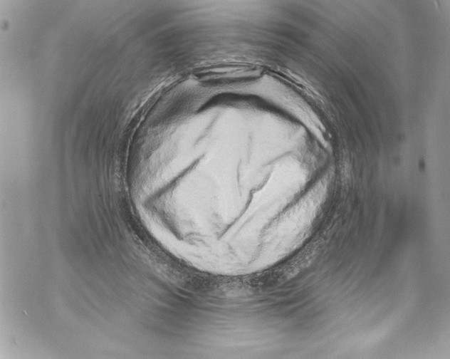 X0000070880353200607150152