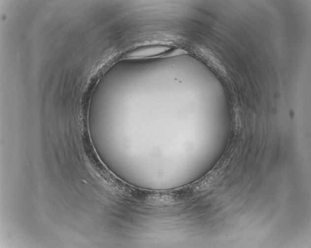 X0000070880354200607150152