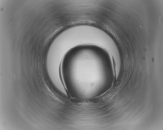 X0000070880356200607150152