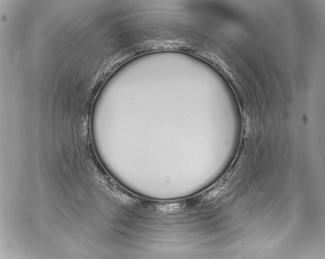 X0000070880357200607150152