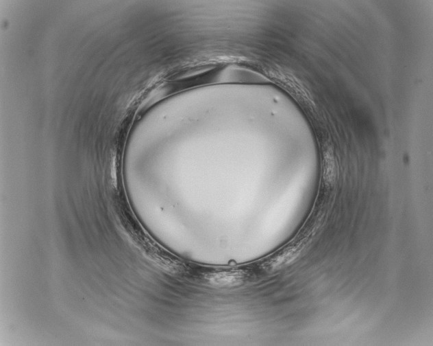 X0000070880358200607150152