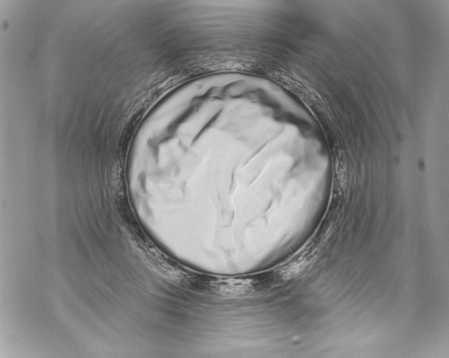 X0000070880359200607150152