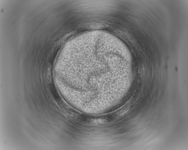 X0000070880360200607150152