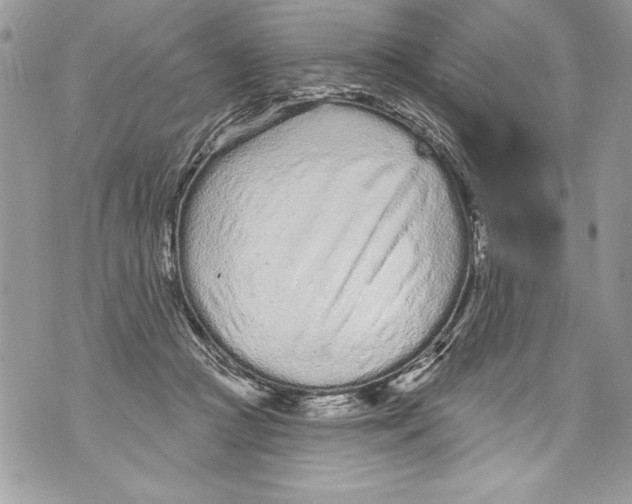 X0000070880361200607150152