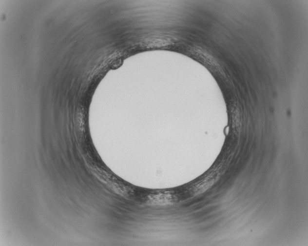 X0000070880362200607150152