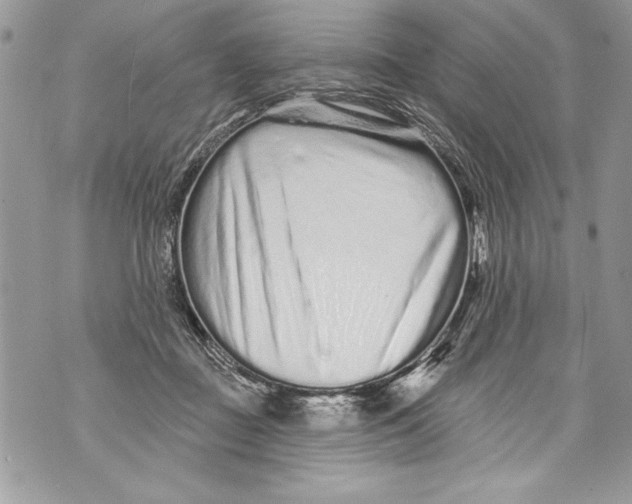 X0000070880363200607150152