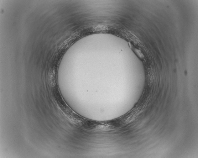 X0000070880364200607150152