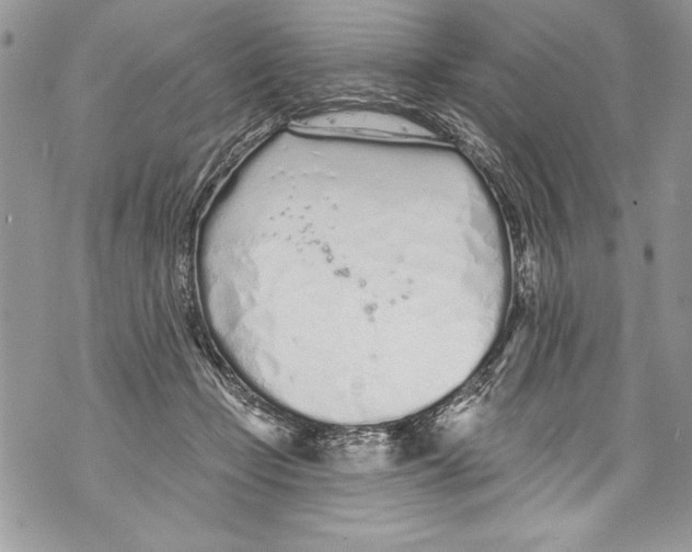 X0000070880365200607150152