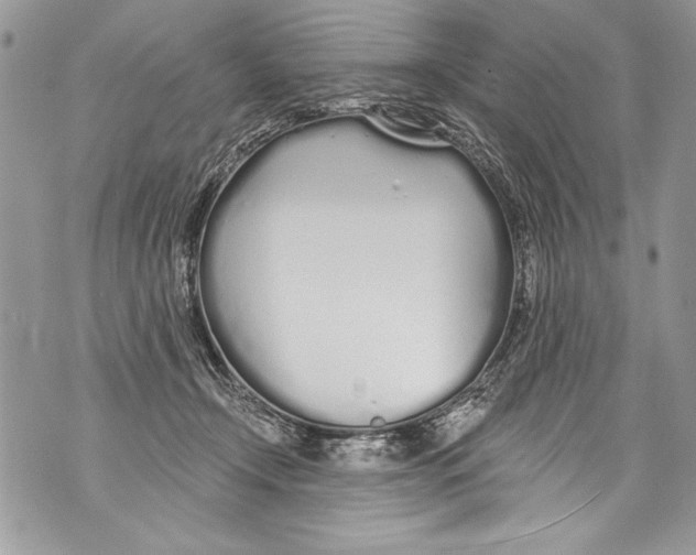 X0000070880366200607150152