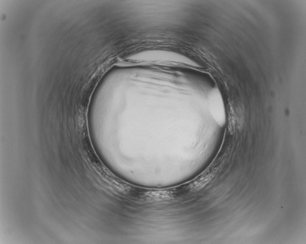 X0000070880367200607150152