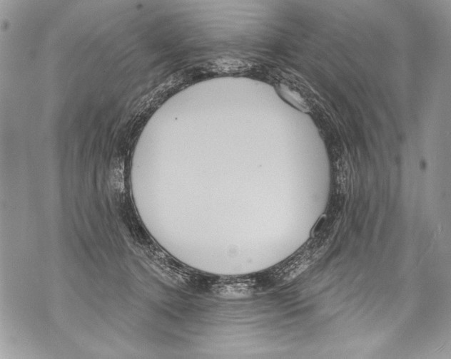 X0000070880368200607150152