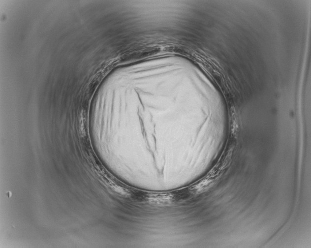 X0000070880369200607150152