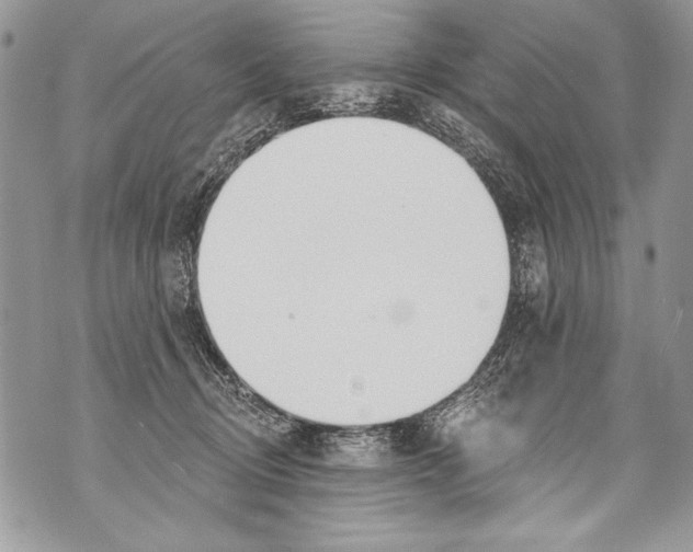 X0000070880370200607150152