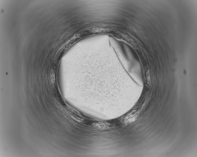 X0000070880372200607150152