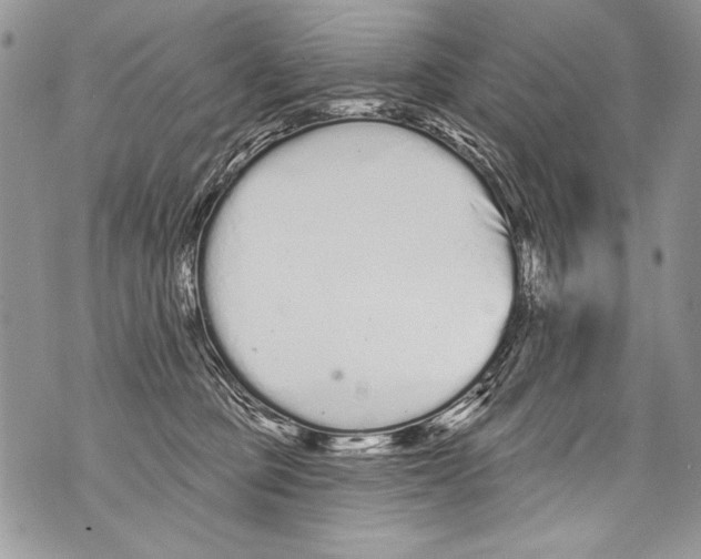 X0000070880373200607150152