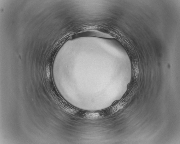 X0000070880374200607150152