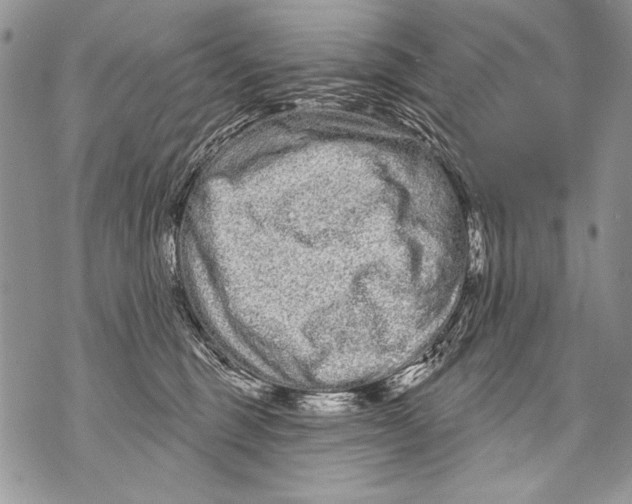 X0000070880375200607150152