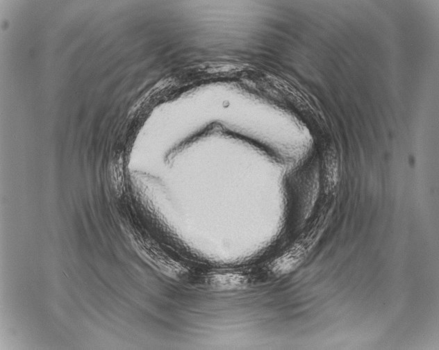 X0000070880376200607150152