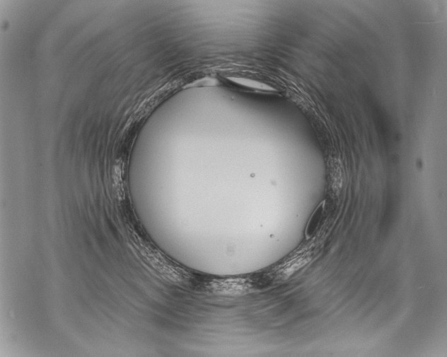 X0000070880378200607150152