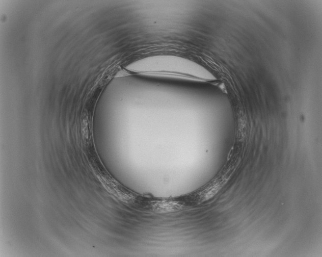 X0000070880379200607150152