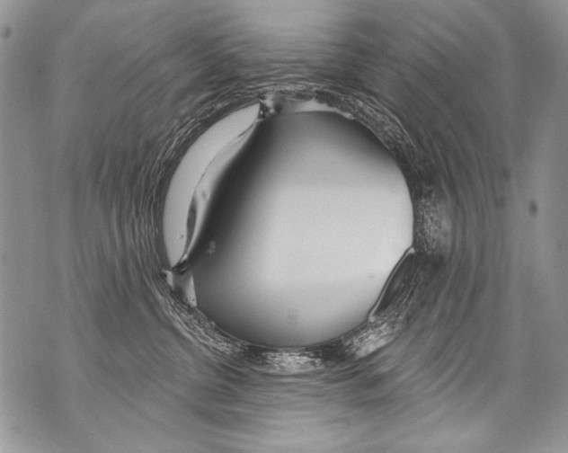 X0000070880380200607150152