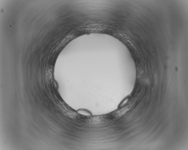 X0000070880382200607150152