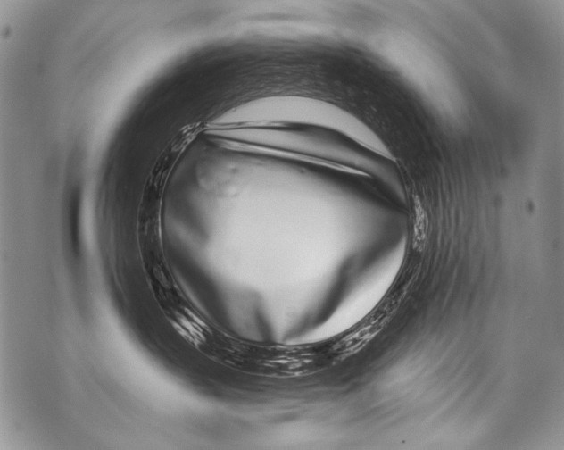 X0000070880383200607150152