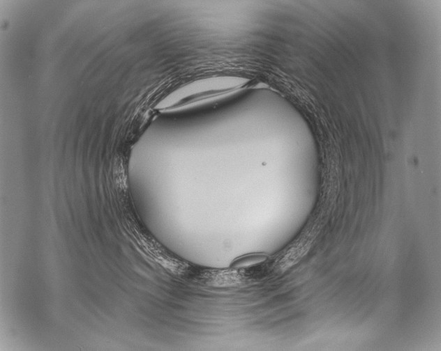 X0000070880384200607150152