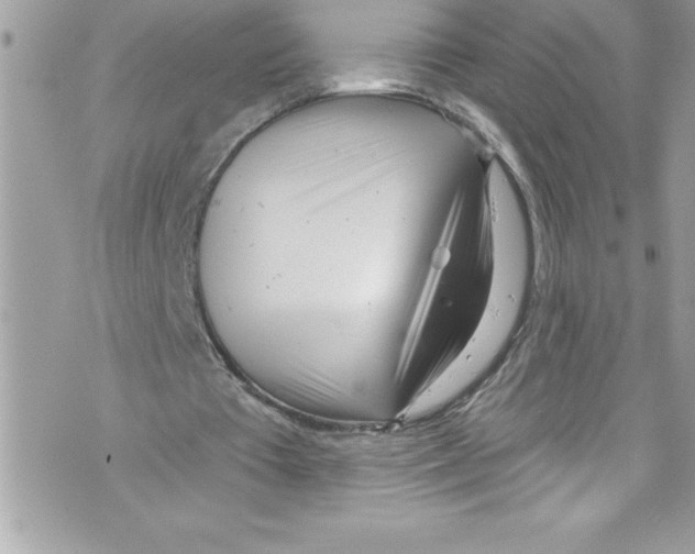 X0000070880385200607150151