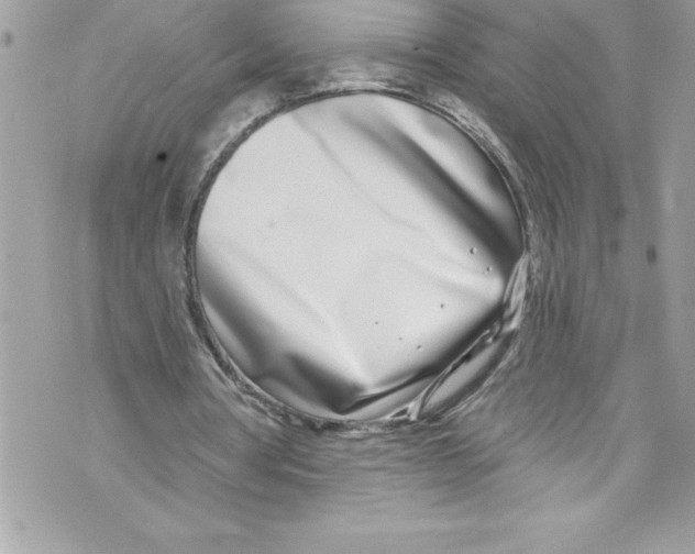 X0000070880386200607150151