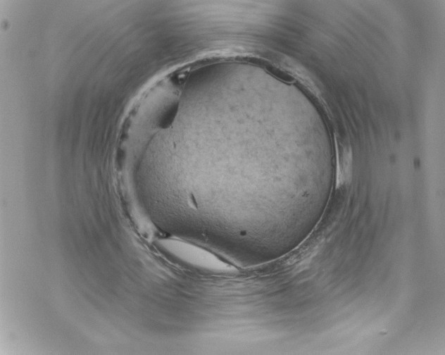 X0000070880387200607150151