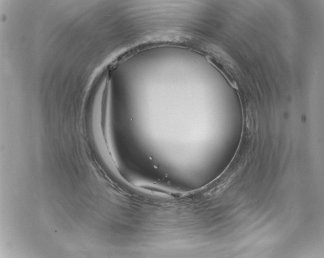 X0000070880388200607150151