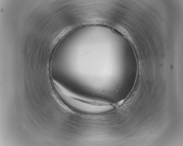 X0000070880389200607150151