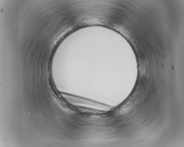 X0000070880390200607150151