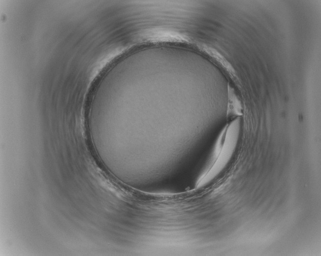 X0000070880391200607150151