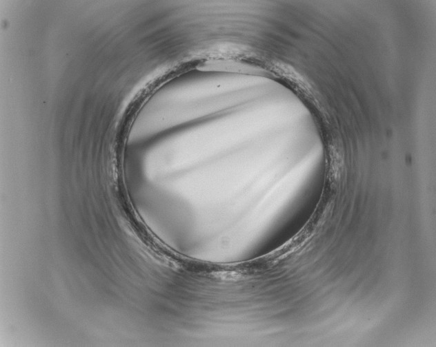 X0000070880392200607150151