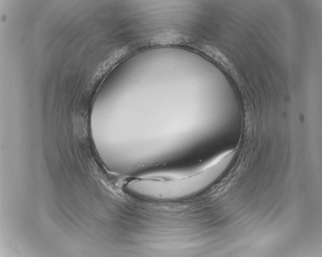 X0000070880393200607150151