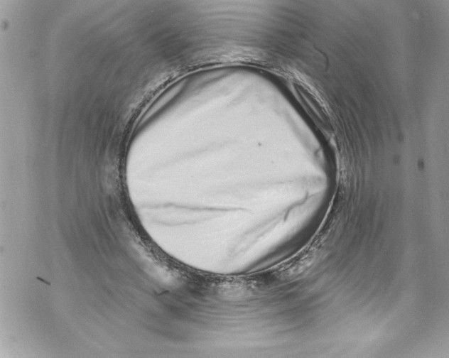 X0000070880394200607150151