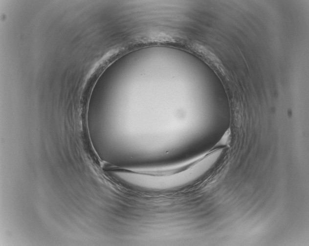 X0000070880395200607150151