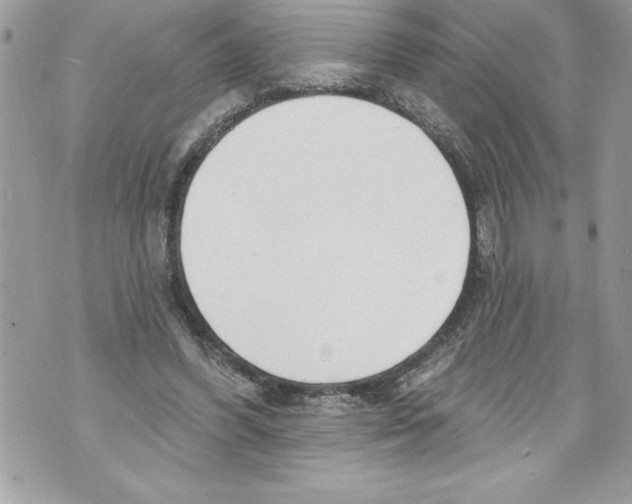 X0000070880396200607150151