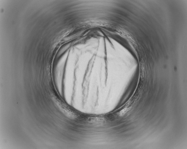 X0000070880398200607150151