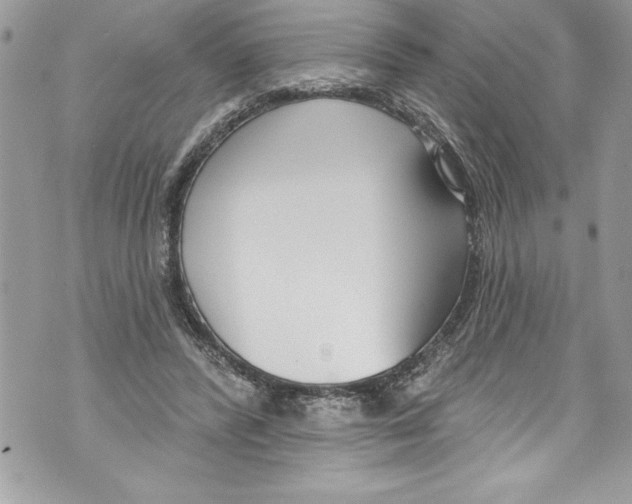 X0000070880400200607150151