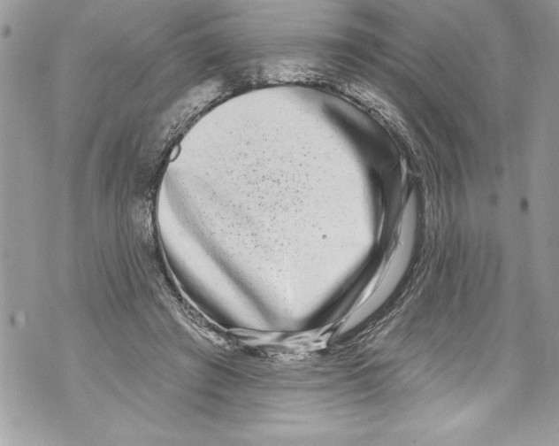 X0000070880401200607150151