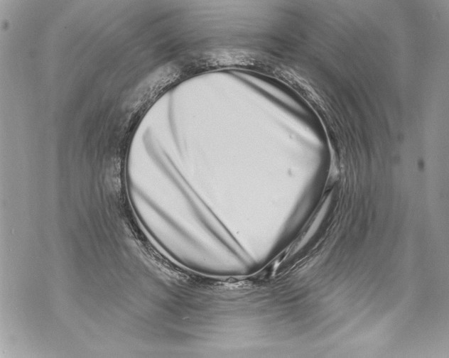 X0000070880402200607150151